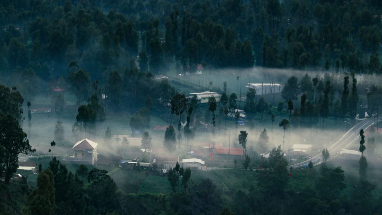 misty forested valley with scattered houses at dawn
